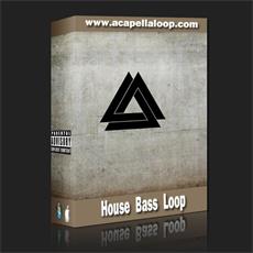 Bass素材/House Bass Loop